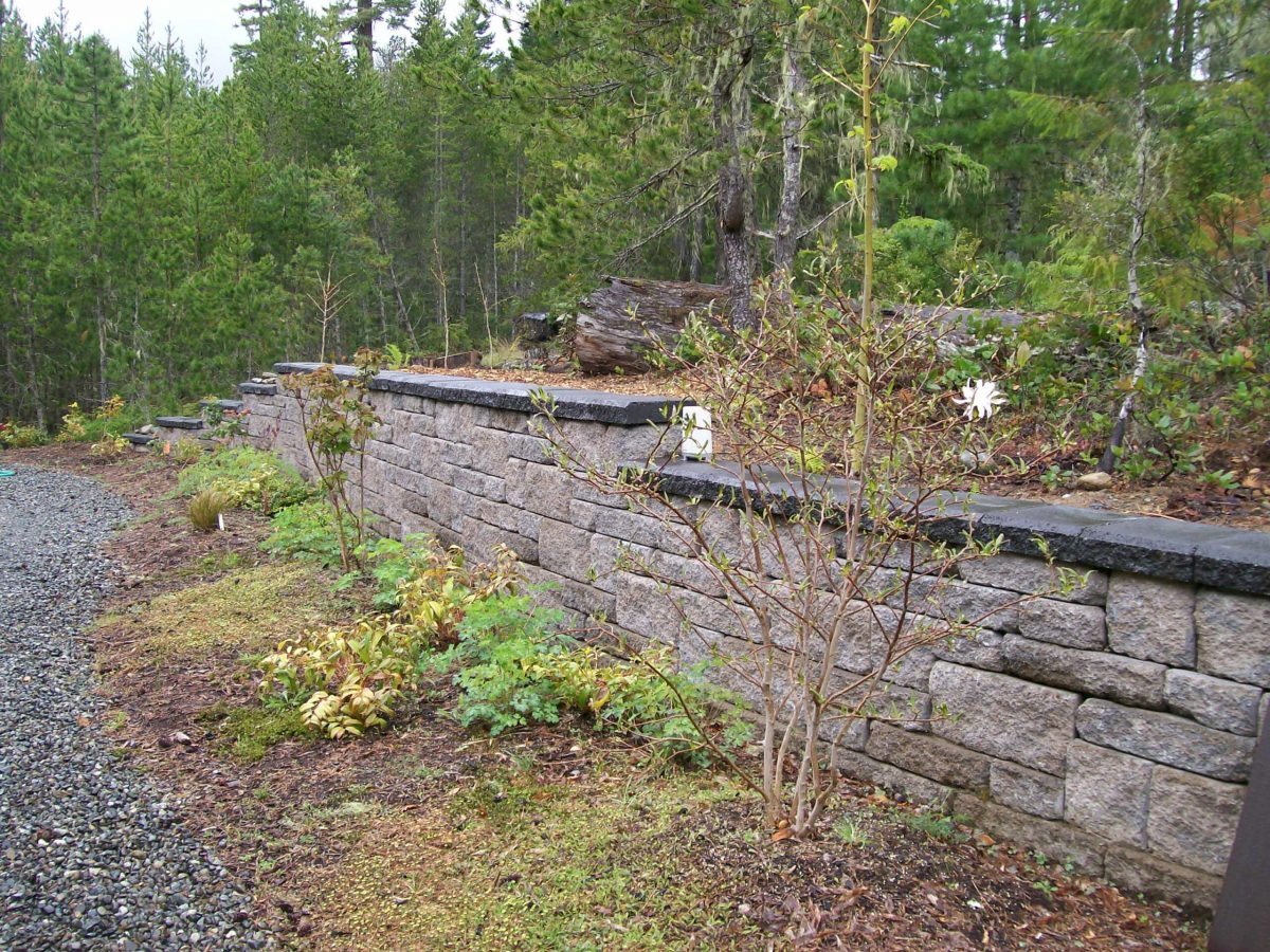 retaining wall, allan block, plants, trees